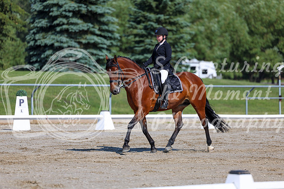 2025 - Dressage Festival - Saturday July 5th - 01872