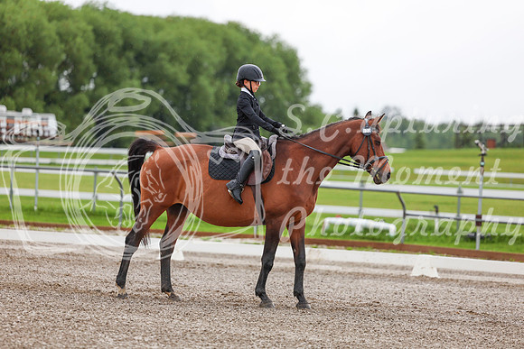 2025 - Dressage Festival - Sunday July 6th - 01828