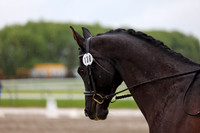 2025 - Dressage Festival - Sunday July 6th - 08020