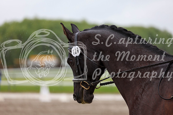 2025 - Dressage Festival - Sunday July 6th - 08020