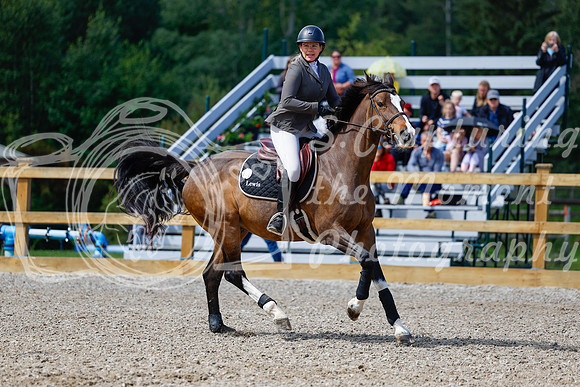 2025 - Haylee - Picco Horse Show - Sunday July 27th 02925