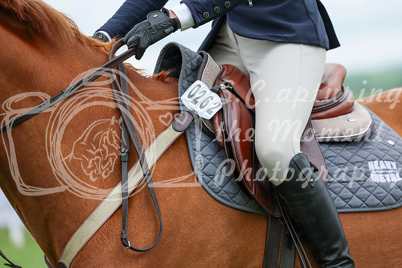 2025 - Shea - Teesdale - Saturday July 26th - 02667
