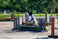 Grey w orange bridle charm