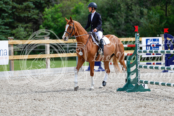 2025 - Haylee - Picco Horse Show - Friay July 25th 04224