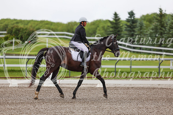 2025 - Dressage Festival - Sunday July 6th - 01261