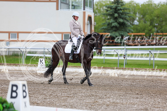 2025 - Dressage Festival - Sunday July 6th - 10447