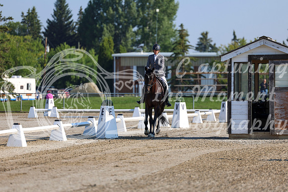 2025 - Dressage Festival - Saturday July 5th - 00095
