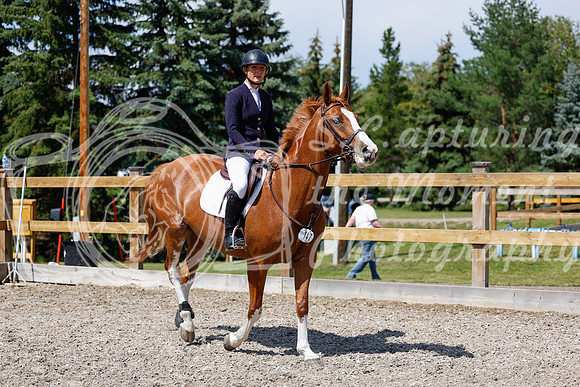 2025 - Haylee - Picco Horse Show - Thursday July 24th 03896