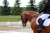 2025 - Dressage Festival - Saturday July 5th - 09308