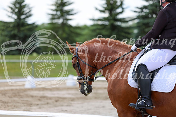 2025 - Dressage Festival - Saturday July 5th - 09308