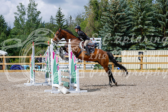 2025 - Haylee - Picco Horse Show - Sunday July 27th 02723