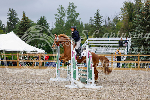 2025 - Haylee - Picco Horse Show - Sunday July 27th 01390