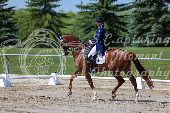 2025 - Dressage Festival - Saturday July 5th - 04265
