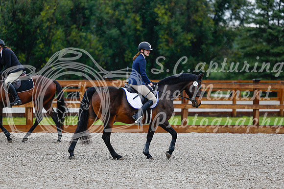 2025 - Haylee - Picco Horse Show - Sunday July 27th 00118