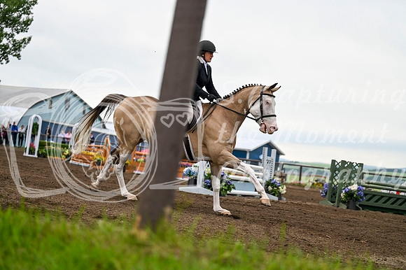 2025 - MJ - Teesdale - Saturday July 26th - 10712