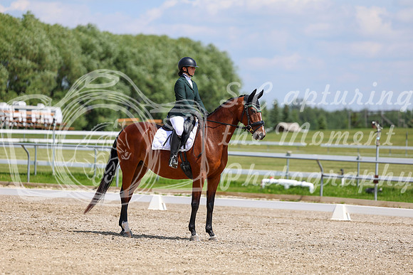 2025 - Dressage Festival - Saturday July 5th - 09417