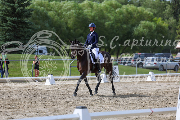 2025 - Dressage Festival - Saturday July 5th - 14784