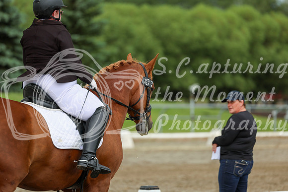 2025 - Dressage Festival - Sunday July 6th - 11265