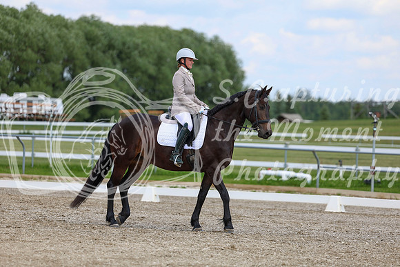 2025 - Dressage Festival - Saturday July 5th - 10673