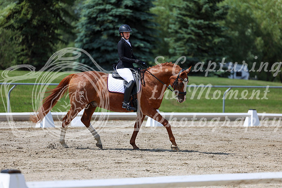 2025 - Dressage Festival - Saturday July 5th - 10144