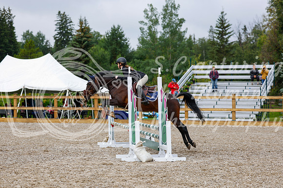 2025 - Haylee - Picco Horse Show - Sunday July 27th 01097