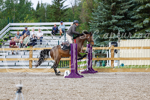 2025 - Haylee - Picco Horse Show - Friay July 25th 01572