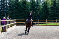 2025 - Haylee - Picco Horse Show - Sunday July 27th 02406