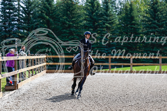 2025 - Haylee - Picco Horse Show - Sunday July 27th 02406