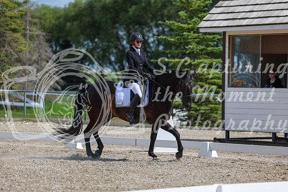 2025 - Dressage Festival - Saturday July 5th - 15237