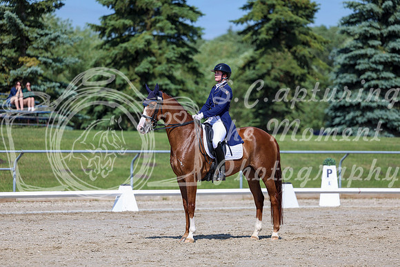 2025 - Dressage Festival - Saturday July 5th - 04249