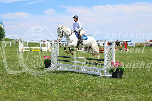 2025 - Shea - Teesdale - Thursday July 24th - 03176