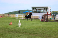 2025 - Shea - Teesdale - Thursday July 24th - 03810