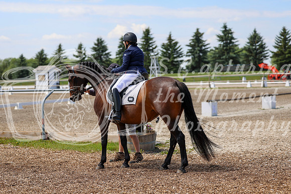 2025 - Dressage Festival - Saturday July 5th - 05976