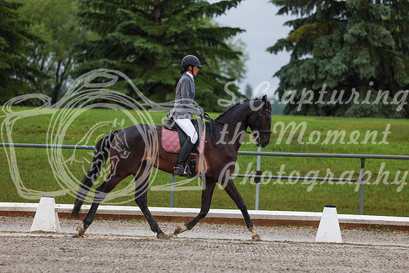 2025 - Dressage Festival - Sunday July 6th - 00715