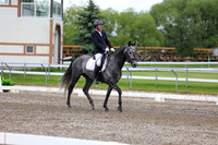 2025 - Dressage Festival - Sunday July 6th - 09870