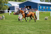 2025 - Shea - Teesdale - Thursday July 24th - 01729