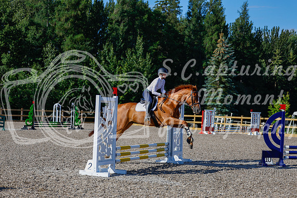 2025 - Haylee - Picco Horse Show - Thursday July 24th 00374