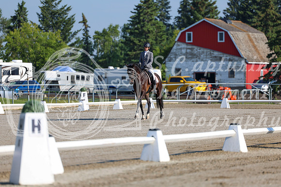 2025 - Dressage Festival - Saturday July 5th - 00114