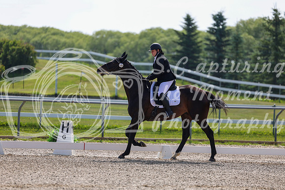2025 - Dressage Festival - Saturday July 5th - 02652