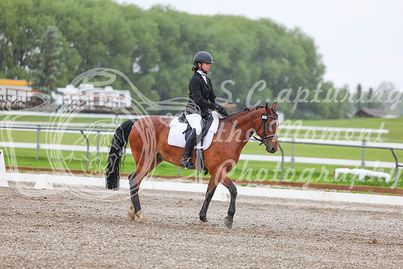 2025 - Dressage Festival - Sunday July 6th - 02849