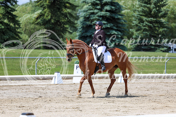 2025 - Dressage Festival - Saturday July 5th - 09325