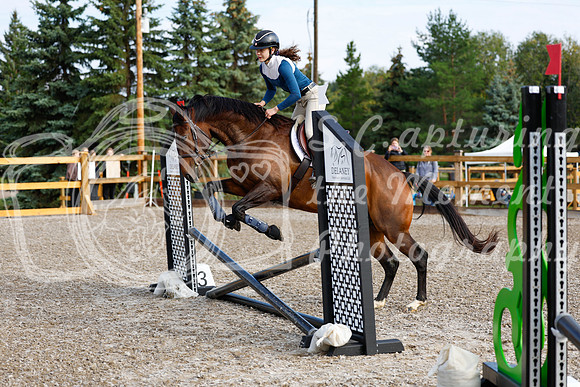 2025 - Haylee - Picco Horse Show - Saturday July 26th 00189