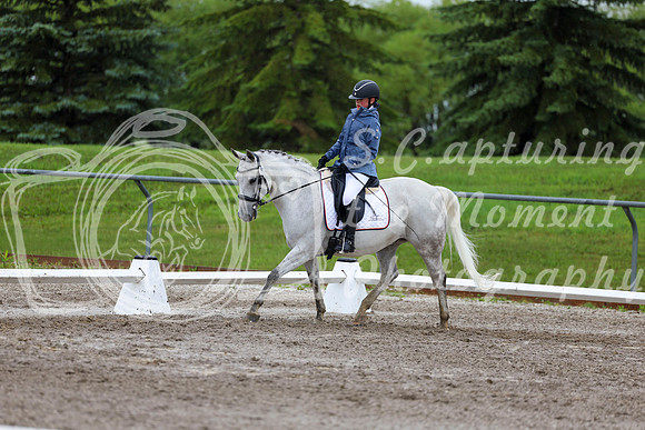2025 - Dressage Festival - Sunday July 6th - 04894