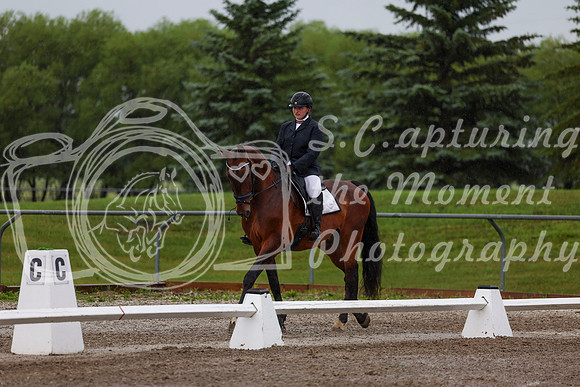 2025 - Dressage Festival - Sunday July 6th - 00338