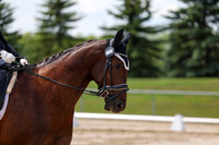 2025 - Dressage Festival - Saturday July 5th - 08467