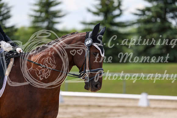 2025 - Dressage Festival - Saturday July 5th - 08467
