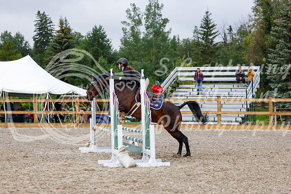 2025 - Haylee - Picco Horse Show - Sunday July 27th 01094