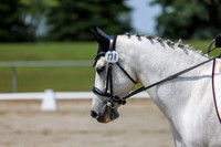 2025 - Dressage Festival - Saturday July 5th - 06573