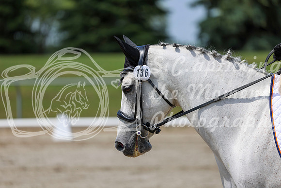 2025 - Dressage Festival - Saturday July 5th - 06573