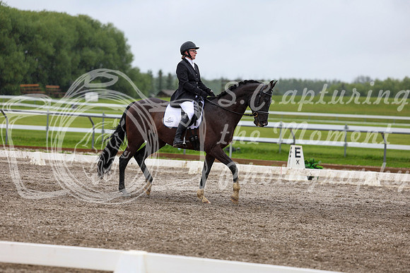 2025 - Dressage Festival - Sunday July 6th - 08139